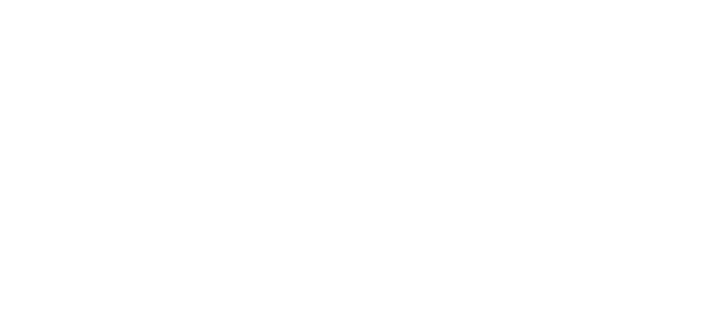 Prosperous Places Logo White